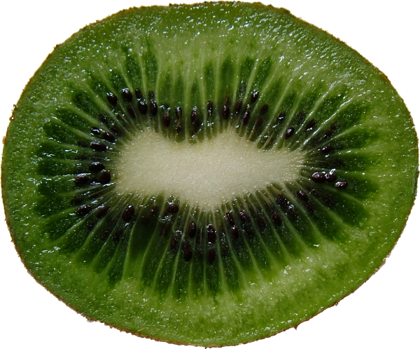 Kiwi PNG Free Download 26