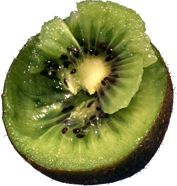 Kiwi PNG Free Download 4