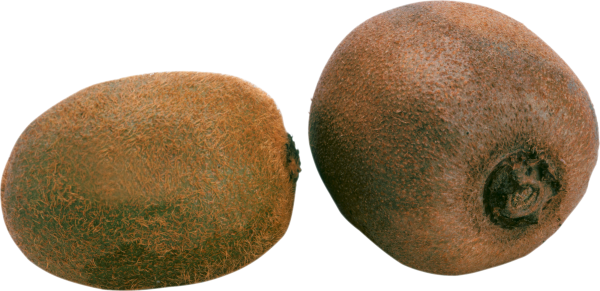 Kiwi PNG Free Download 6