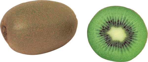 Kiwi PNG Free Download 9
