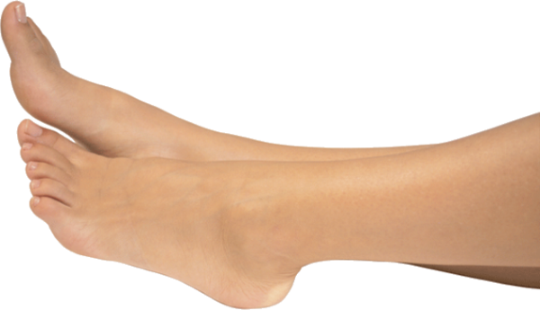 Leg PNG Free Download 14