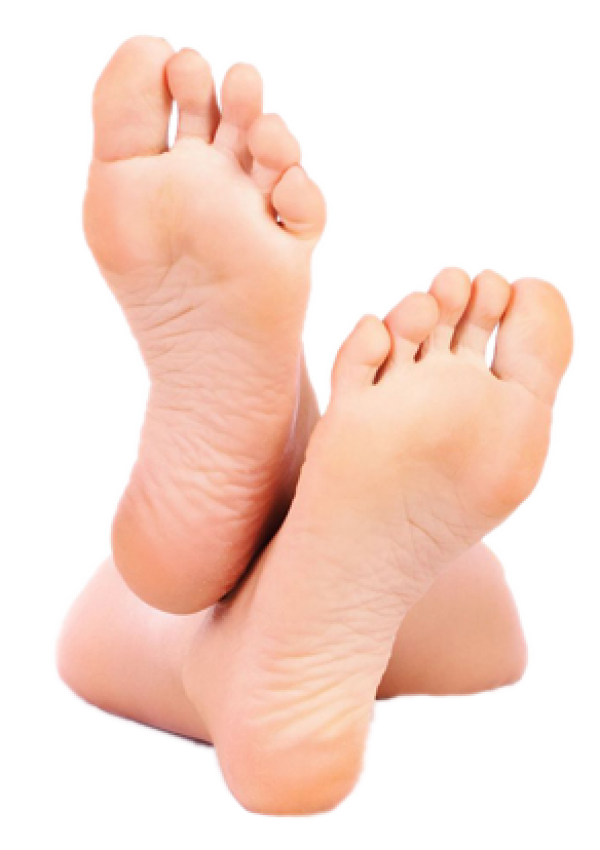 Leg PNG Free Download 23