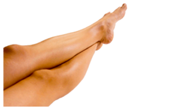 Leg PNG Free Download 24