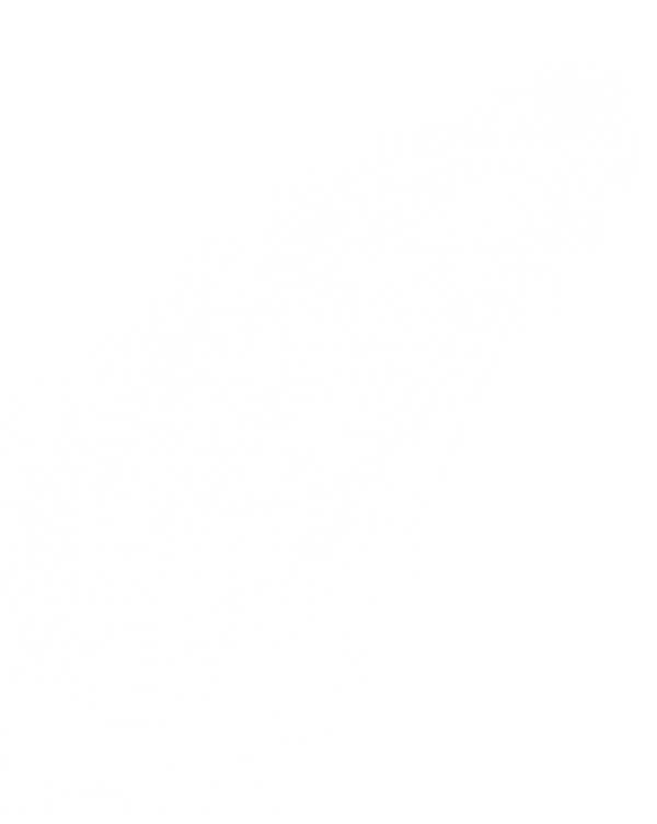 Light PNG Free Download 14