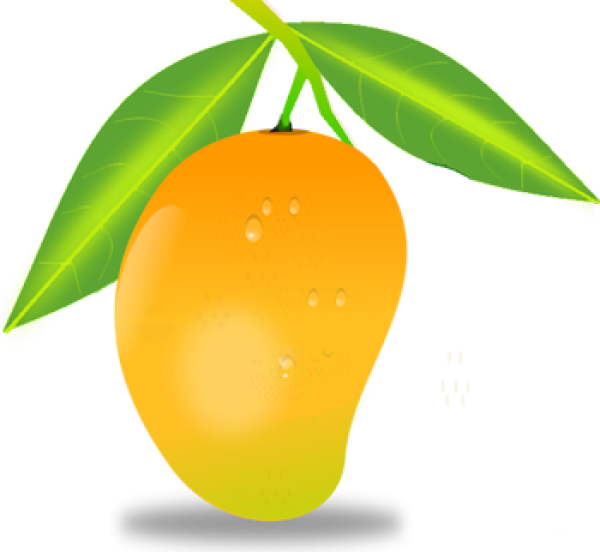 Mango PNG Free Download 1