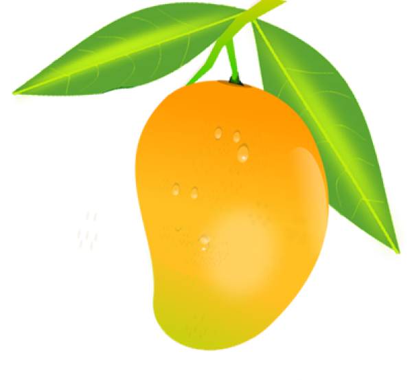 Mango PNG Free Download 18