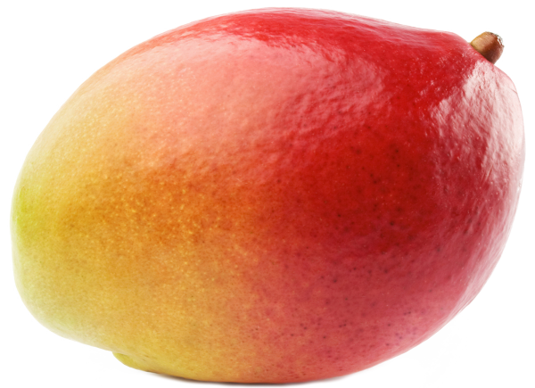 Mango PNG Free Download 2