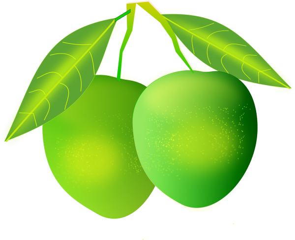 Mango PNG Free Download 21