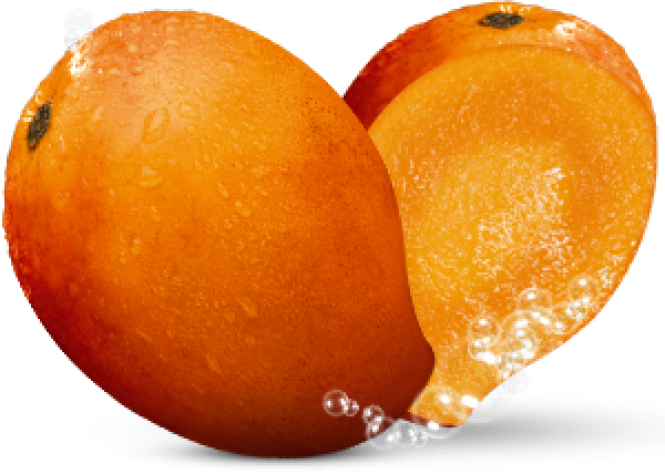 Mango PNG Free Download 23