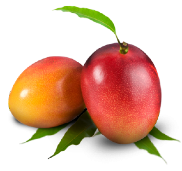 Mango PNG Free Download 24