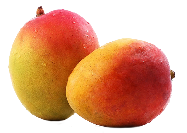 Mango PNG Free Download 3