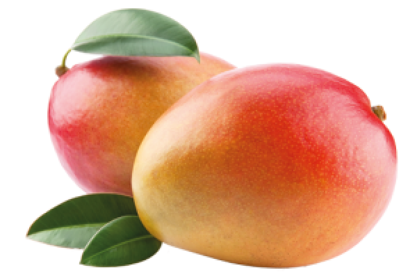 Mango PNG Free Download 9