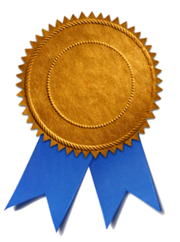 medal_PNG14511