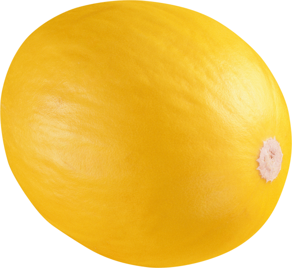 Melon PNG Free Download 1