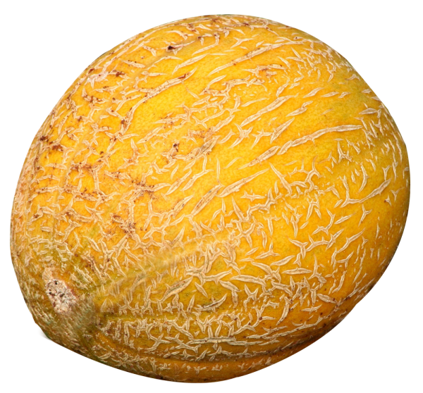 Melon PNG Free Download 10