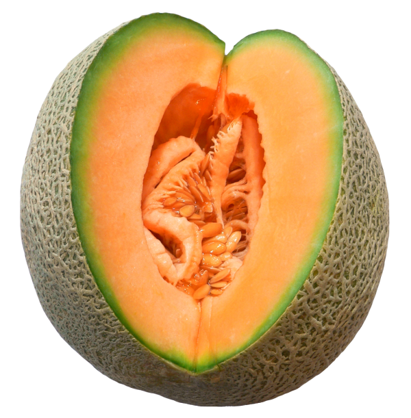Melon PNG Free Download 16