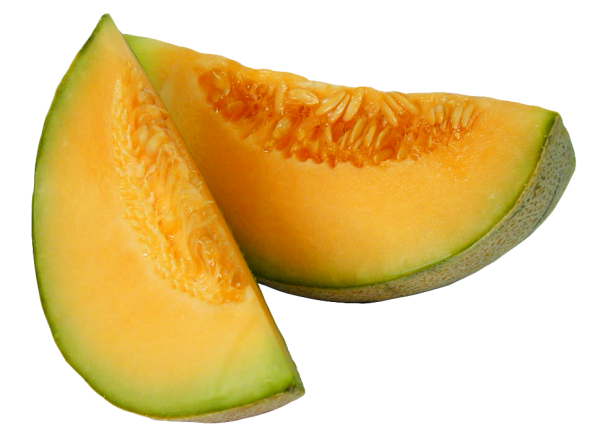 Melon PNG Free Download 17