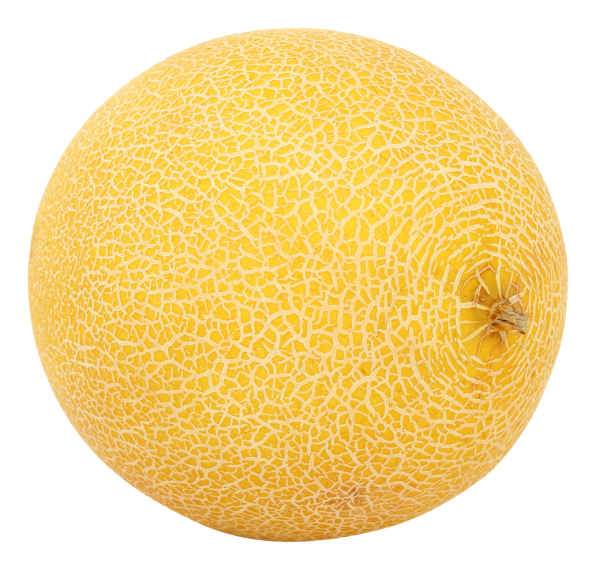 Melon PNG Free Download 18