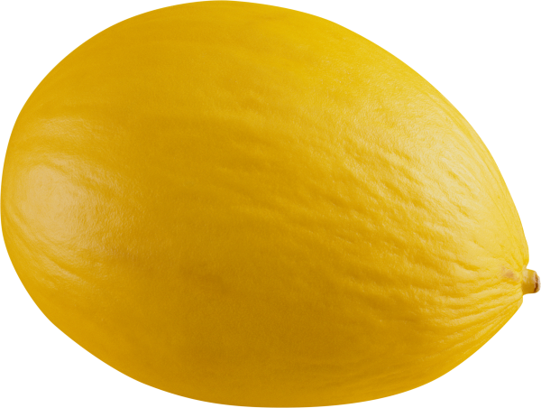 Melon PNG Free Download 2