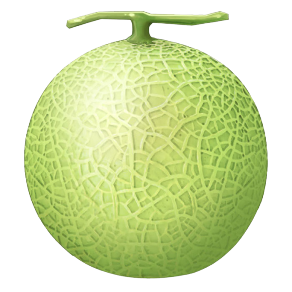 Melon PNG Free Download 21