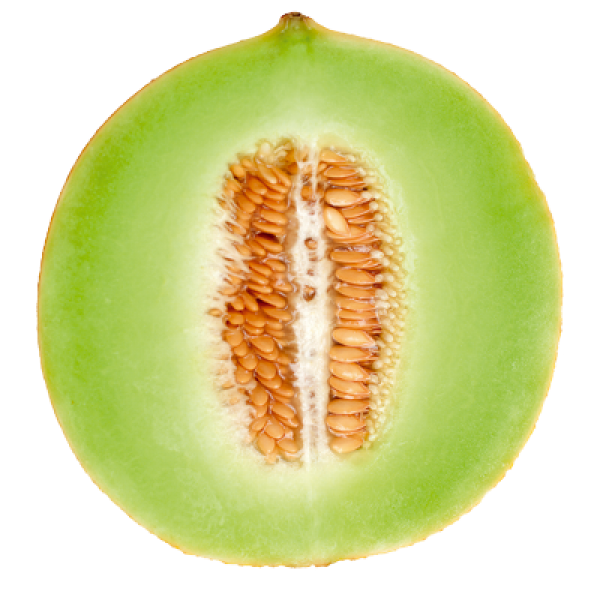 Melon PNG Free Download 22