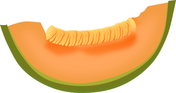 Melon PNG Free Download 24
