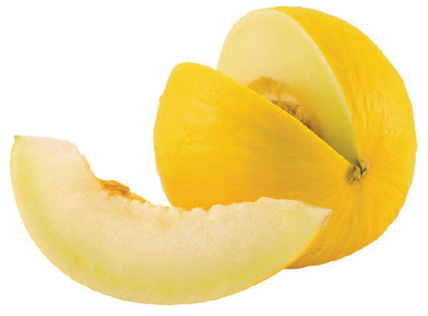 Melon PNG Free Download 26