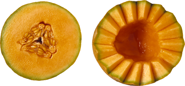 Melon PNG Free Download 27