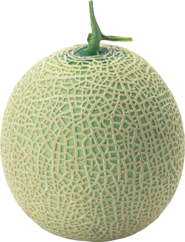 Melon PNG Free Download 28