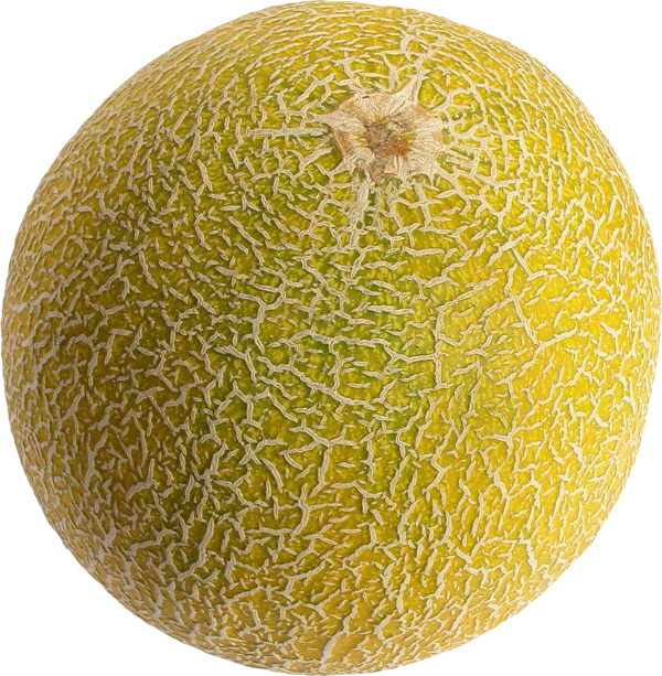 Melon PNG Free Download 29