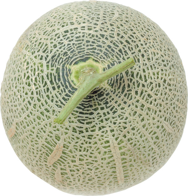Melon PNG Free Download 3