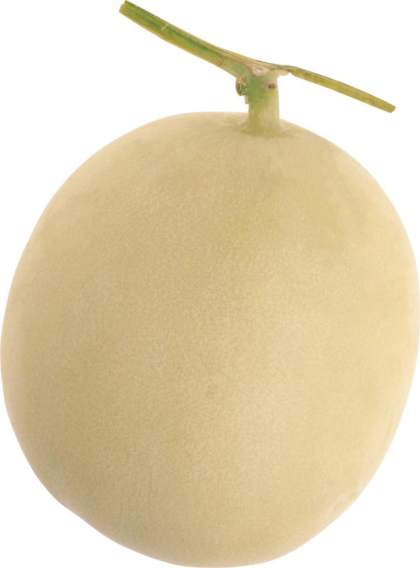 Melon PNG Free Download 31