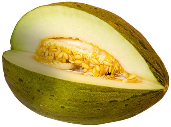 Melon PNG Free Download 35