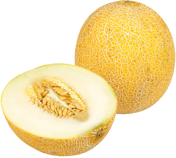 Melon PNG Free Download 37