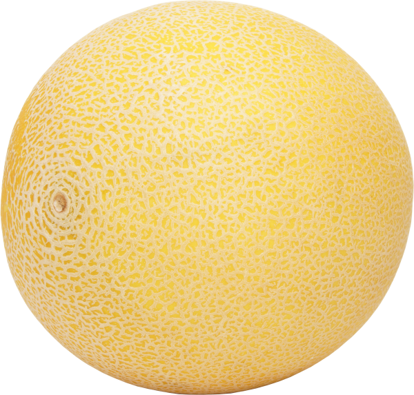 Melon PNG Free Download 38