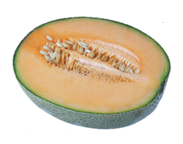 Melon PNG Free Download 40