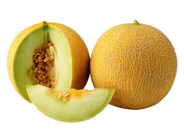 Melon PNG Free Download 6