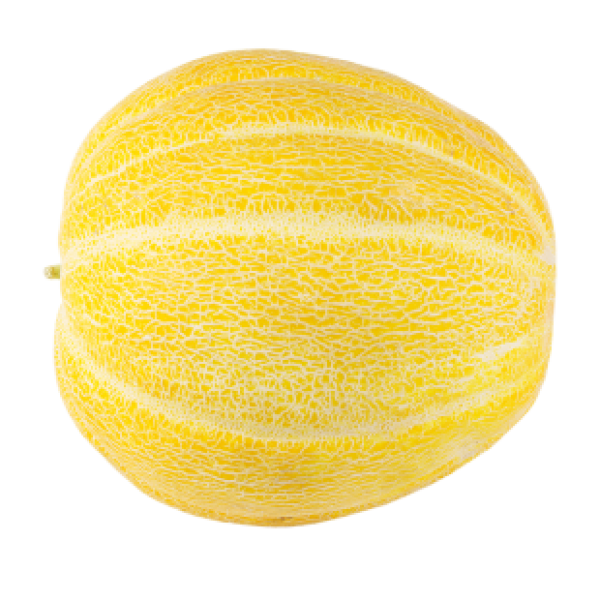 Melon PNG Free Download 9
