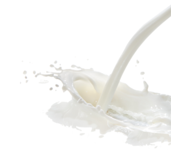 Milk PNG Free Download 11