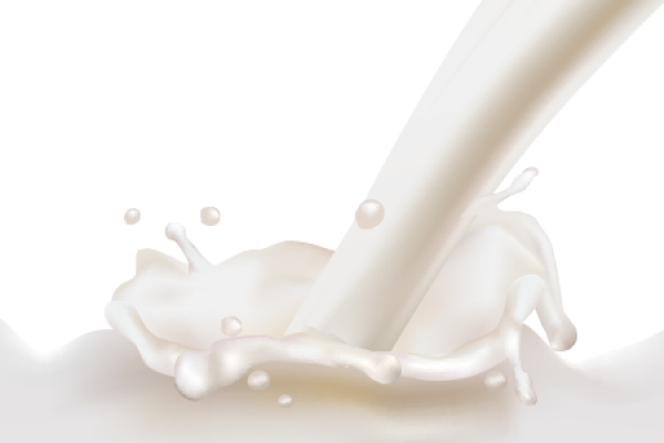 Milk PNG Free Download 19