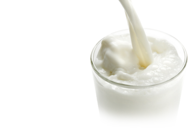 Milk PNG Free Download 21