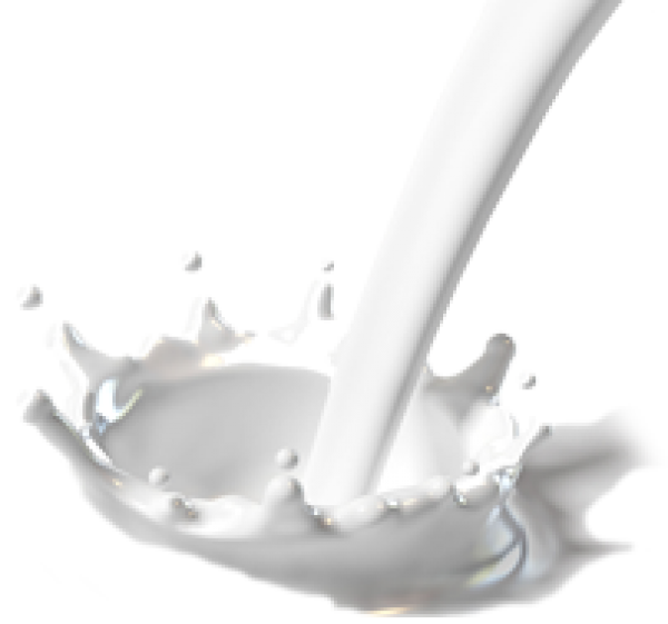 Milk PNG Free Download 23