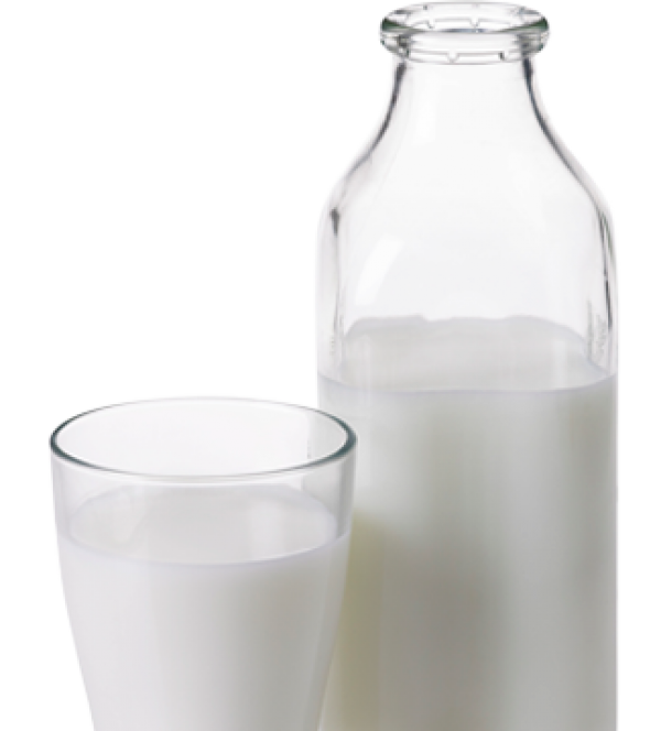 Milk PNG Free Download 55