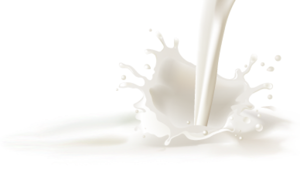 Milk PNG Free Download 58