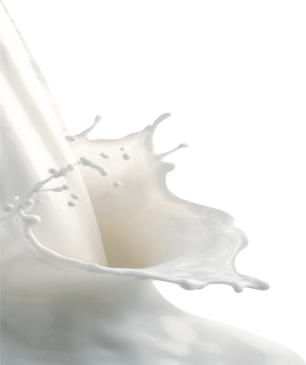 Milk PNG Free Download 63