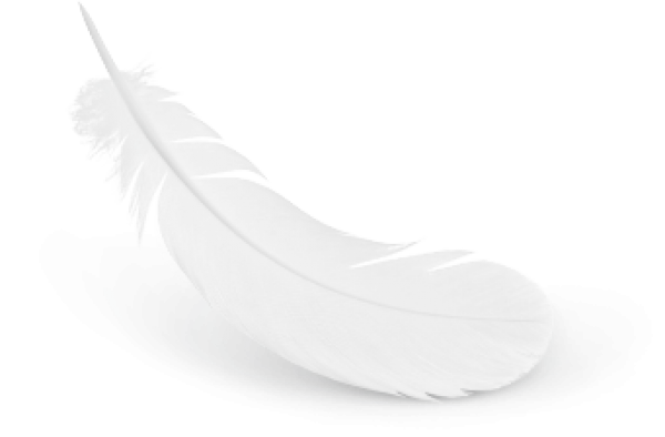 Milky white Feather download