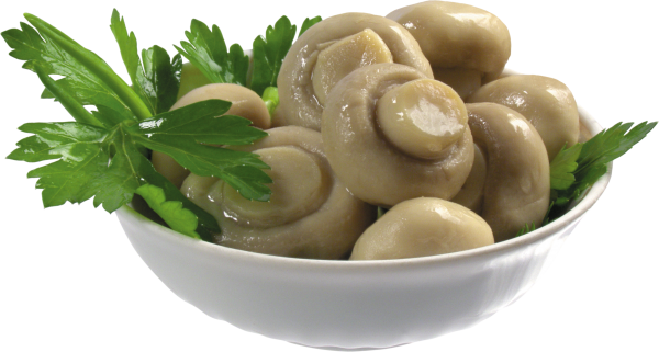 mushroom pasta  free download png