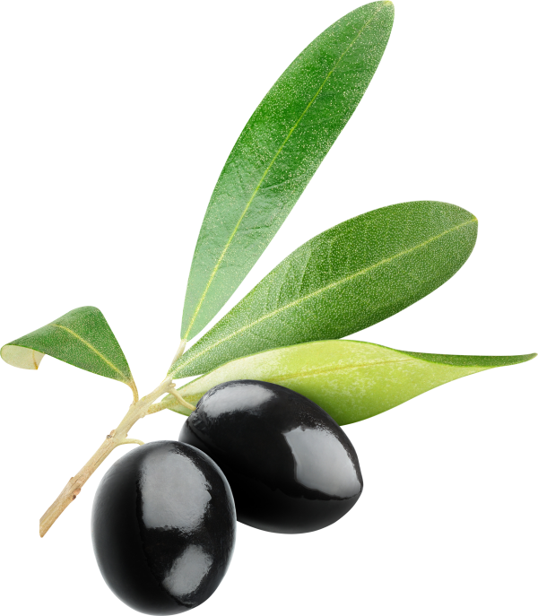 Olives PNG Free Download 10