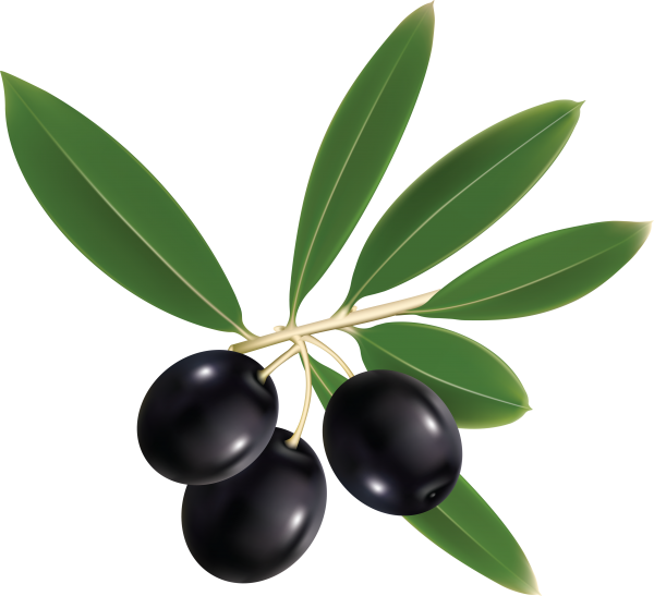 Olives PNG Free Download 13
