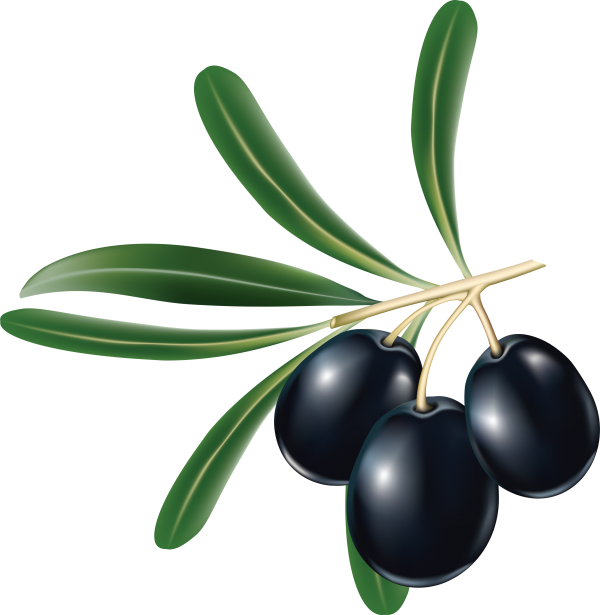 Olives PNG Free Download 14